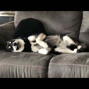 Meet your Posher, Louise